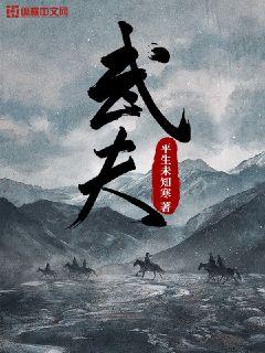 武夫章节列表