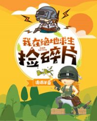 我在绝地求生捡碎片章节列表