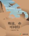 殊途，亦可同归章节列表