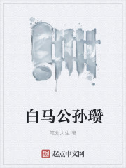 白马公孙瓒章节列表