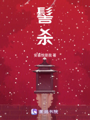 髻杀章节列表