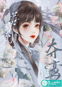 夺鸾章节列表