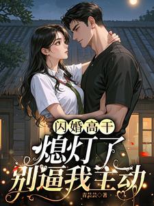 闪婚高干：熄灯了，别逼我主动章节列表