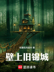 壁上旧锦城章节列表