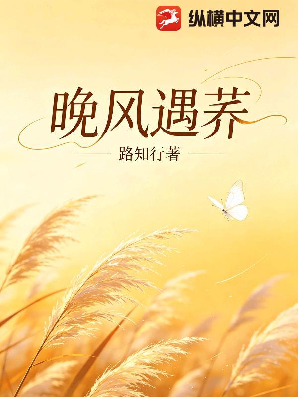 晚风遇荞章节列表