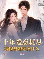 十年爱意耗尽，我提离婚你哭什么章节列表