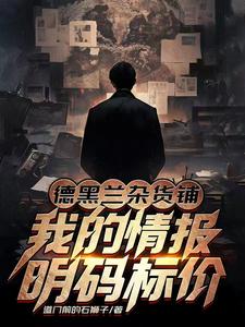德黑兰杂货铺：我的情报明码标价章节列表