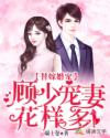 替嫁婚宠：顾少宠妻花样多章节列表